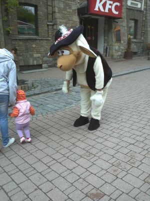 IMG032.jpg