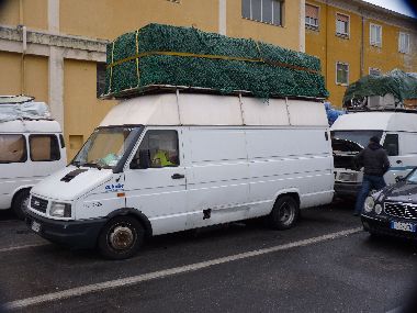 P1000945.jpg