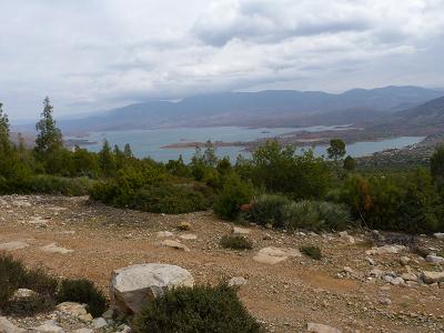 P1010084.JPG