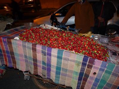 P1010090.JPG