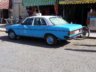P1010155.jpg
