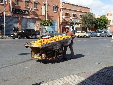 P1010162.jpg